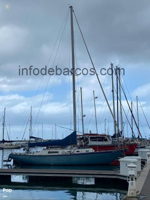 Morgan 42 ficha técnica y opiniones
